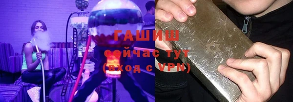 стаф Касимов