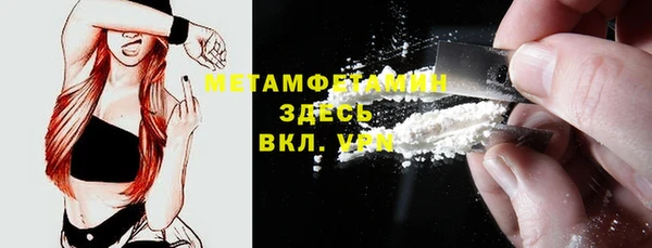 стаф Касимов
