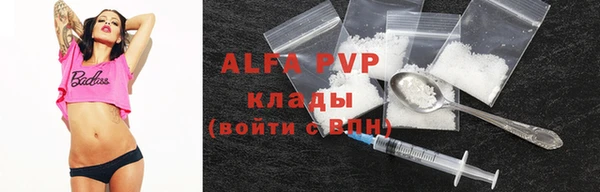 стаф Касимов