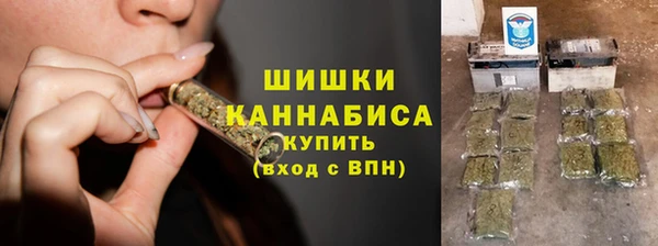 PSILOCYBIN Киренск
