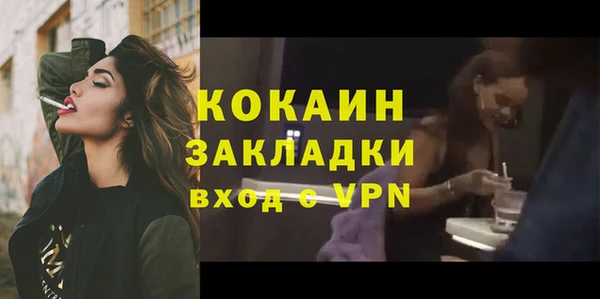 стаф Касимов