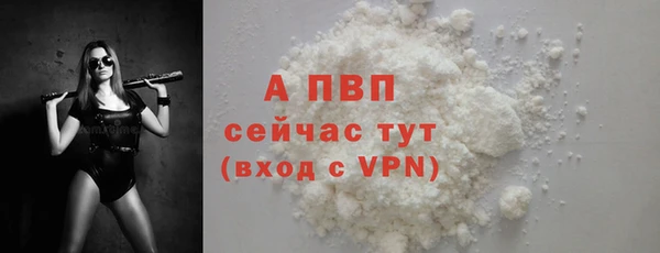 эйфоретик Карпинск