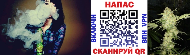 Канабис SATIVA & INDICA  Красный Холм 